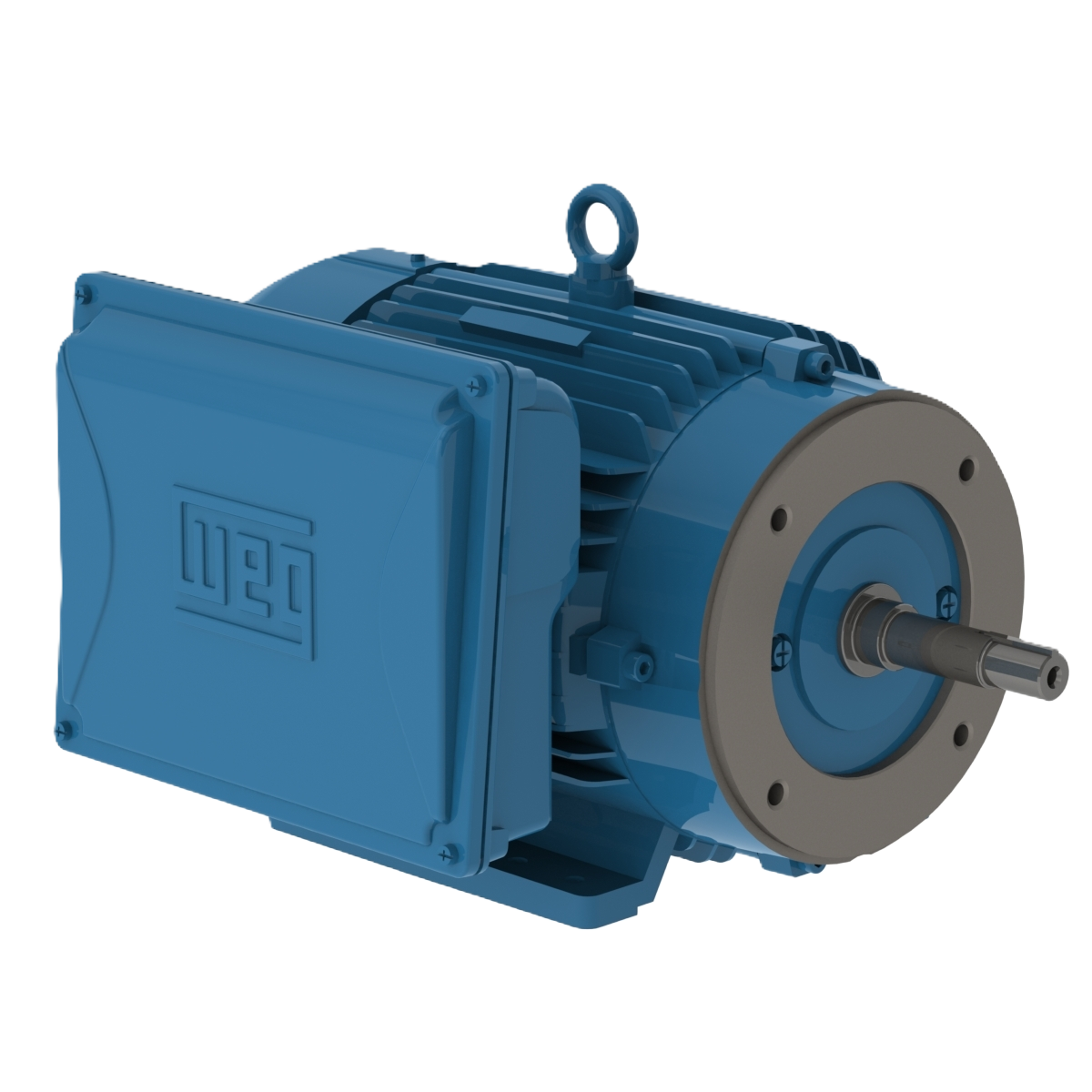 Motor WEG